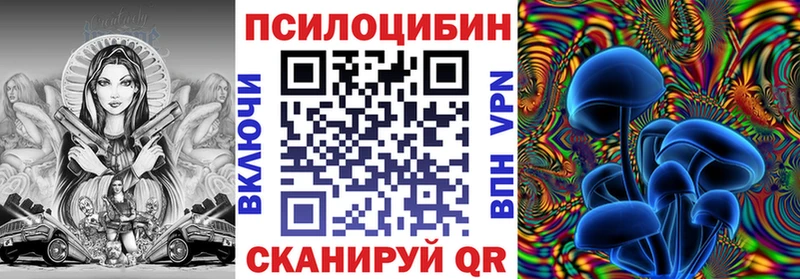 Купить где  Маркс  Галлюциногенные грибы Cubensis 